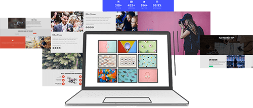 WP Starter theme